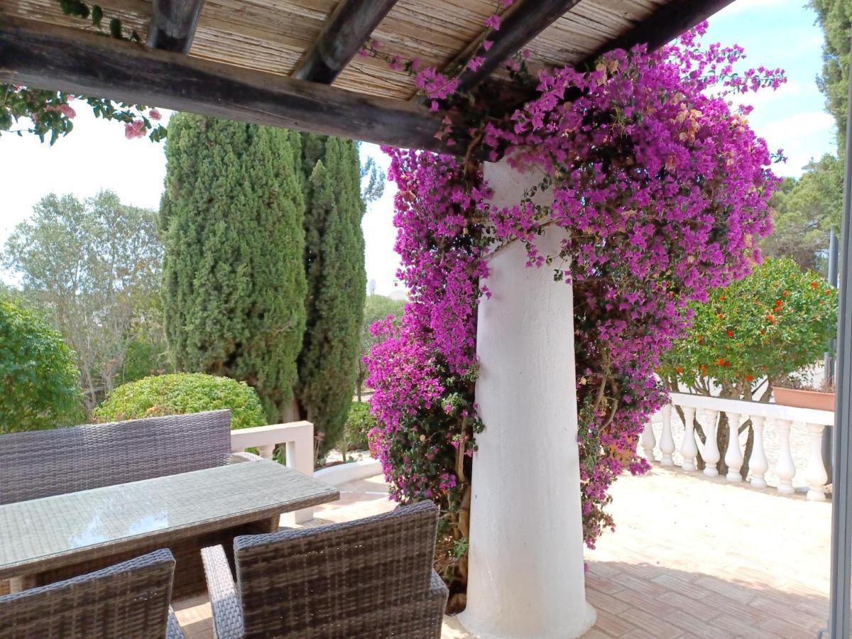 קארבואירו Quinta Do Paraiso - Casa Colynda מראה חיצוני תמונה
